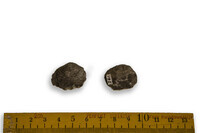 F 00241
          <br/>
          
          <br/>
          <em></em>